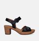 Gabor Best Fitting Zwarte Sandalen Met Blokhak voor dames (339339)