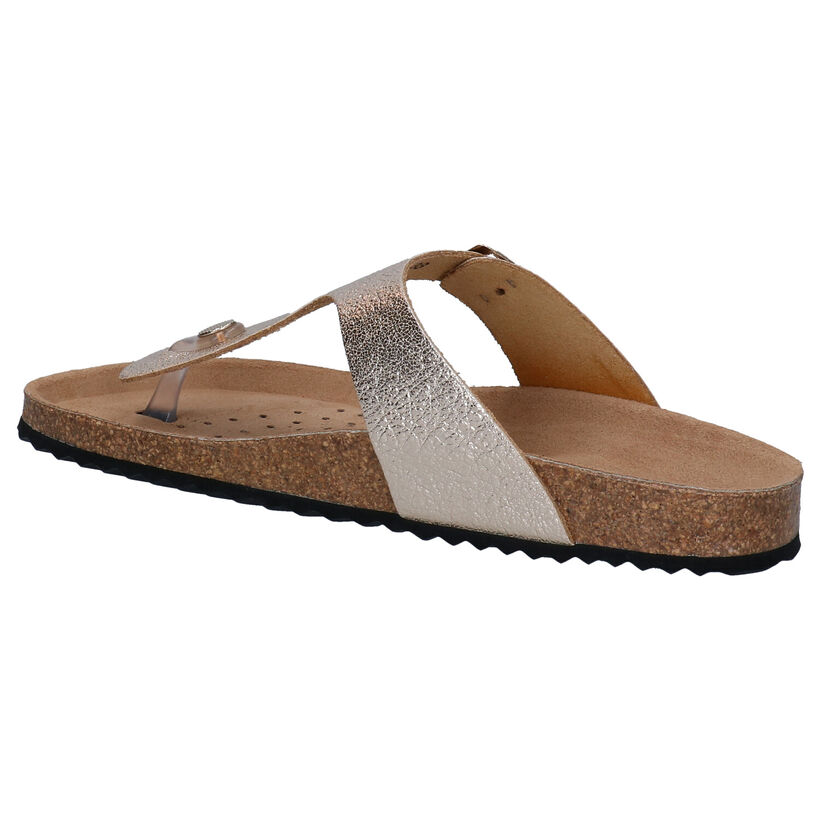 Geox Brionia Goude Teenslippers in leer (301732)