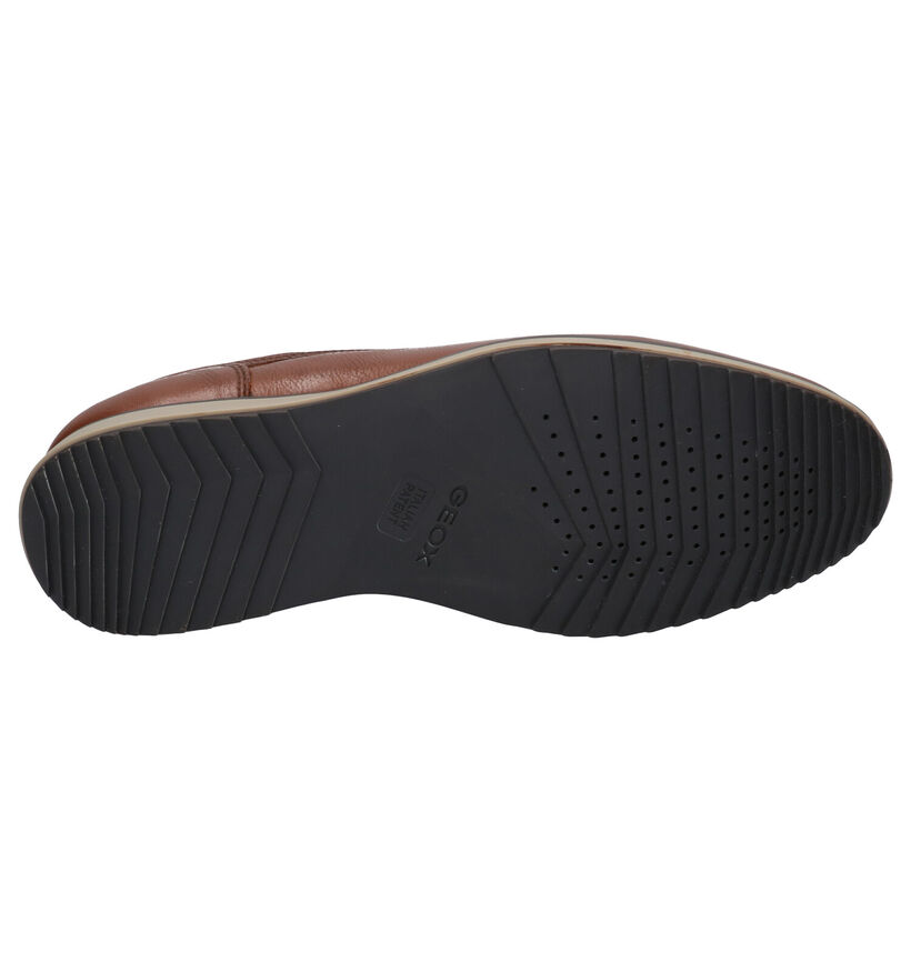 Geox Chaussures habillées en Cognac en cuir (270028)