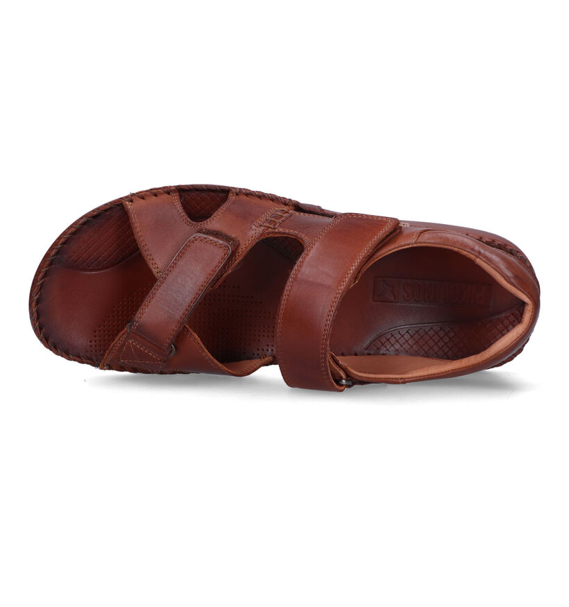 Pikolinos Tarifa Sandales en Cognac pour hommes (339802)