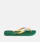Havaianas Brasil Groene Teenslippers voor heren (373003)