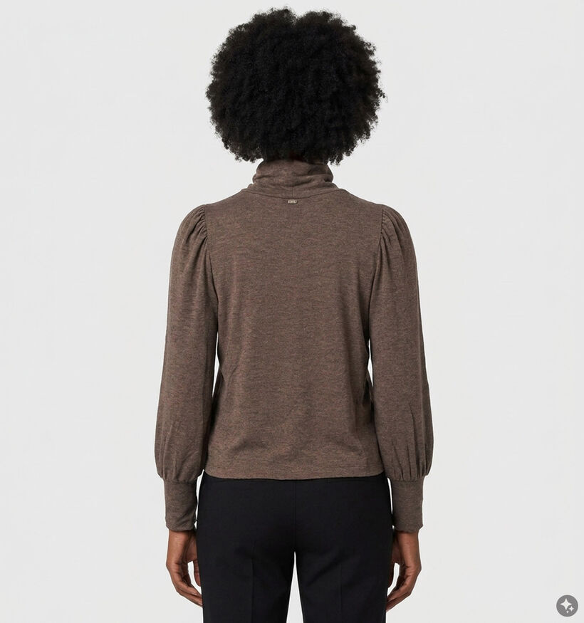 Minuit Douze Elycia Donkerbruine T-shirt Lange Mouwen voor dames (381867)