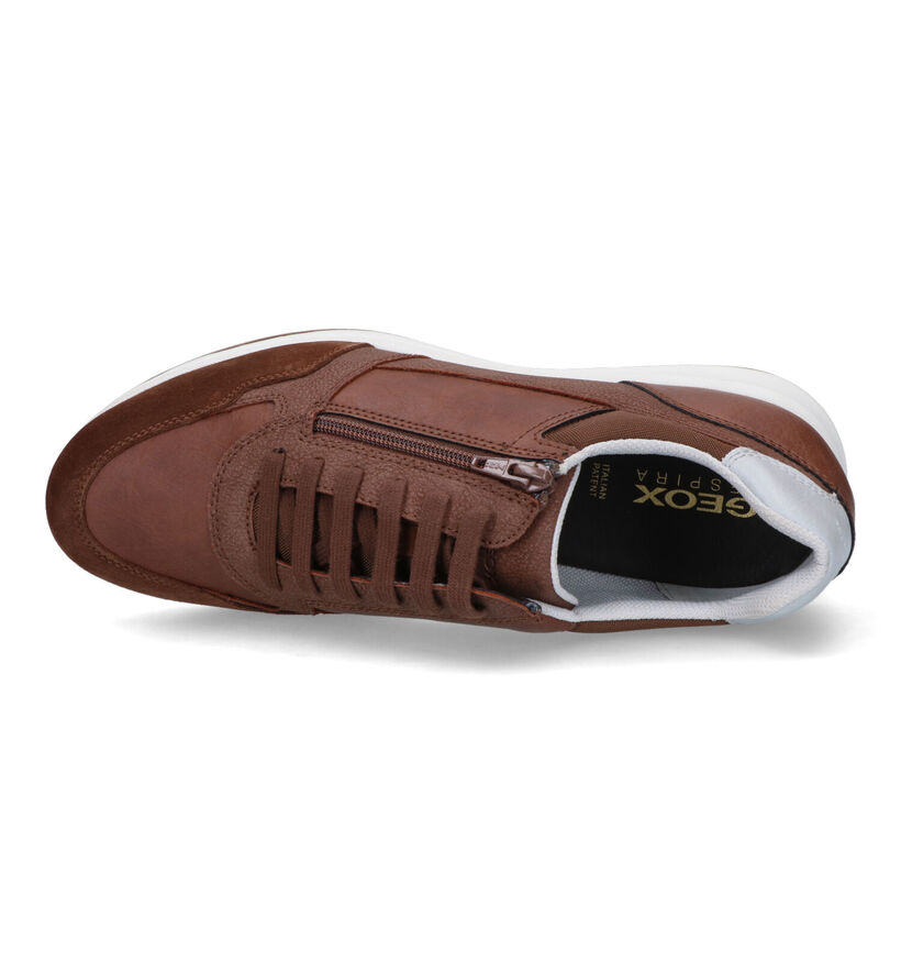 Geox Optek Avery Chaussures à lacets en Marron pour hommes (320090)