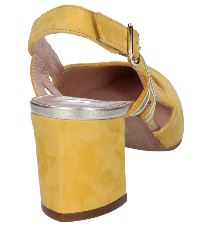 Blauwe Pumps Maripé in daim (248841)