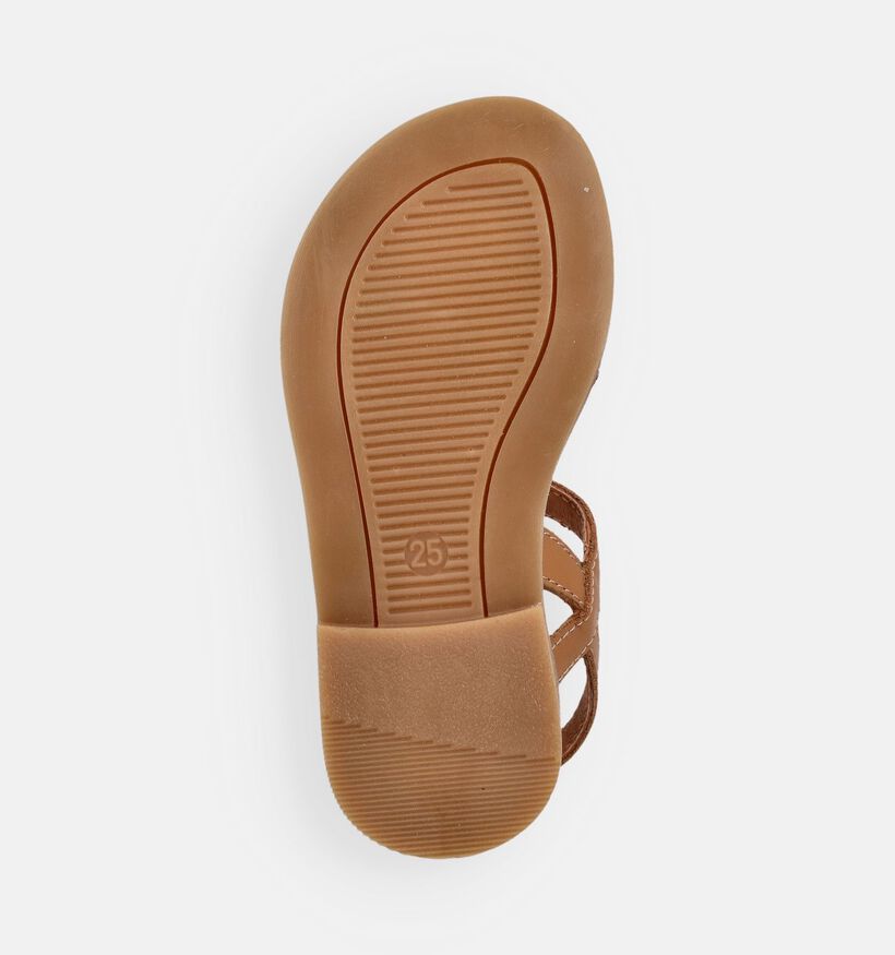 FR by Romagnoli Bruine Sandalen voor meisjes (372887)