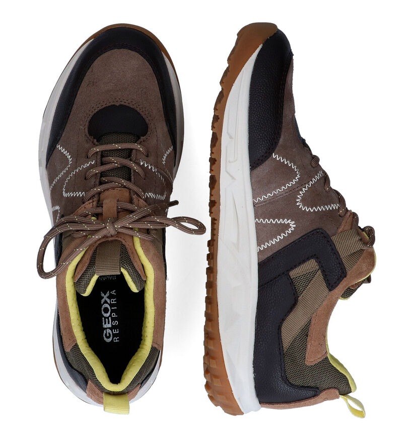 Geox Delray Chaussures à lacets en Taupe en daim (301042)