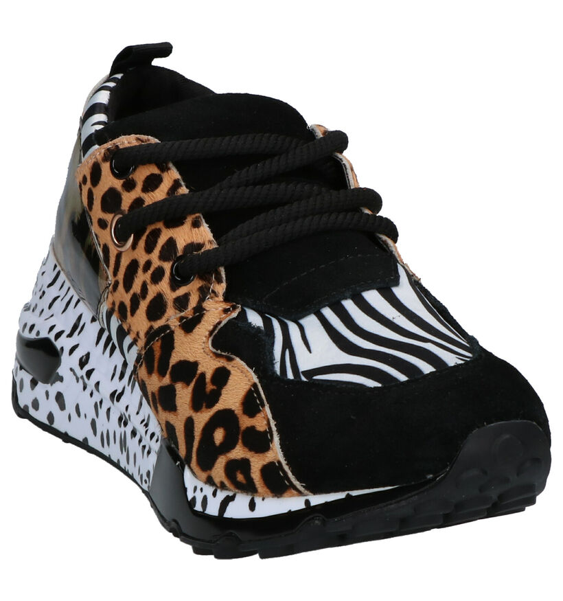 Steve Madden Cliff Multicolor Sneakers in kunstleer (252186)