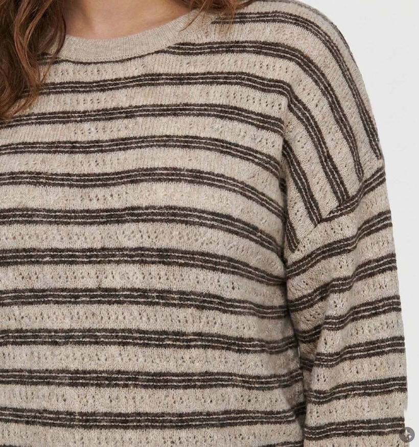 ONLY Carmakoma Monique Sweatshirt en Brun pour femmes (381919)