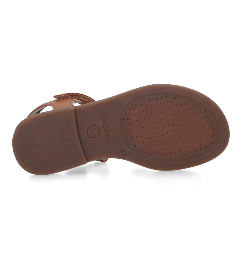 Geox Karly Sandales en Cognac pour filles (321569)