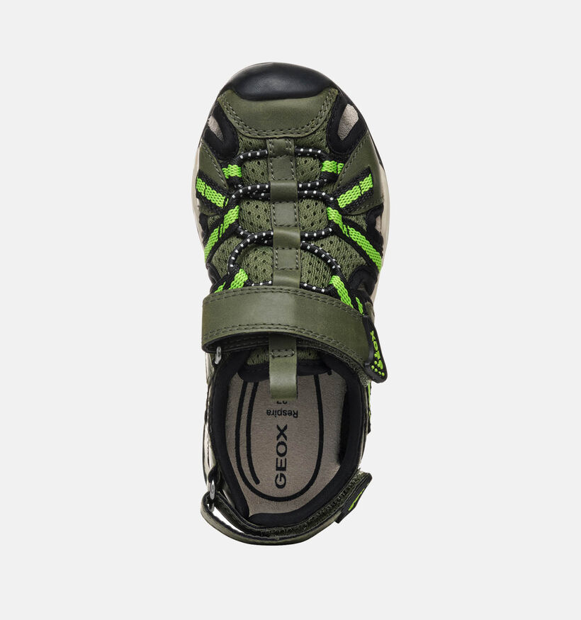 Geox Borealis Sandales en Vert Khaki pour garçons (352922)