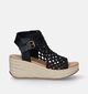 Blowfish Malibu Lorrah Sandales en Noir pour femmes (339724)