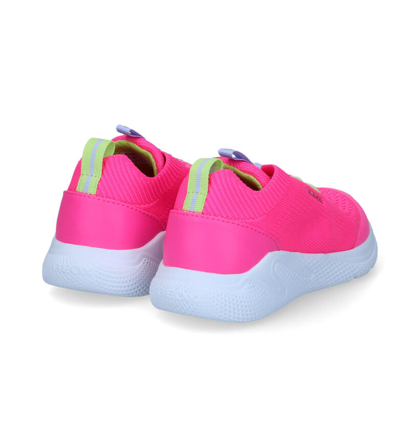 Geox Sprintye Baskets en Rosé Fuchsia en synthétique (311011)