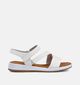 Gabor Witte Sandalen voor dames (371128)