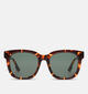 Komono Sienna Lunettes de soleil en Marron pour femmes (355166)