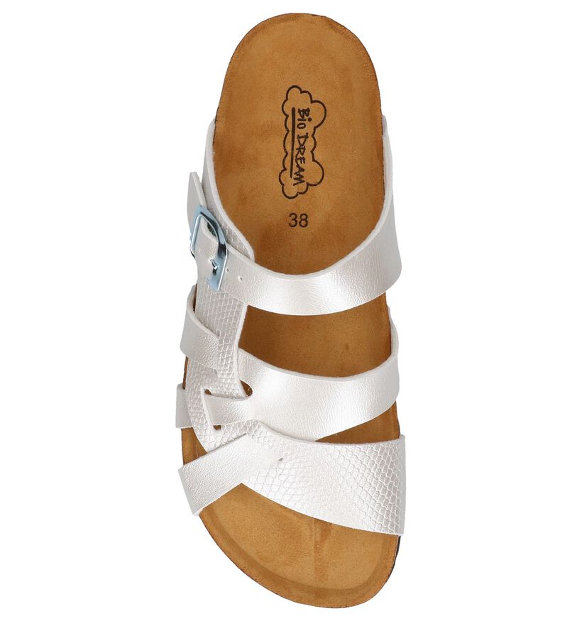 Bio Dream Nu-pieds plates en Argent en textile (292445)