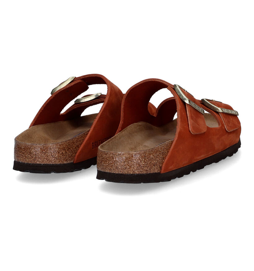 Birkenstock Arizona Paarse Slippers voor dames (322541)