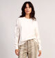JDY Jinni Beige Sweater voor dames (362440)