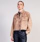 Orfeo Doc Bruine Blouse voor dames (364330)