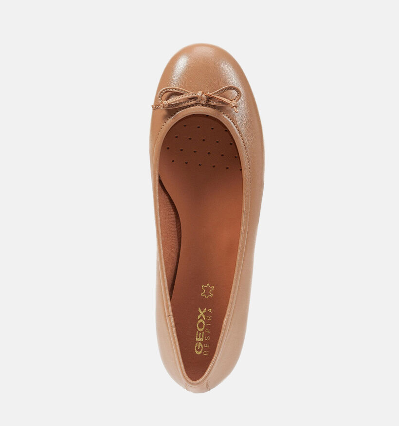 Geox Palmaria Cognac Ballerina's voor dames (351671)