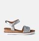 Gabor Zilveren Sandalen met sleehak voor dames (355066)