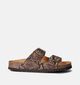 Scholl Josephine Bruine Slippers Croco voor dames (357568)