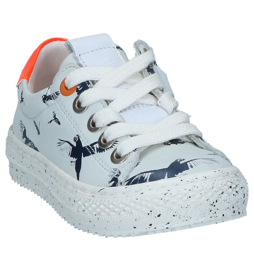 Donkerblauwe Geklede Sneakers Wild in leer (245152)