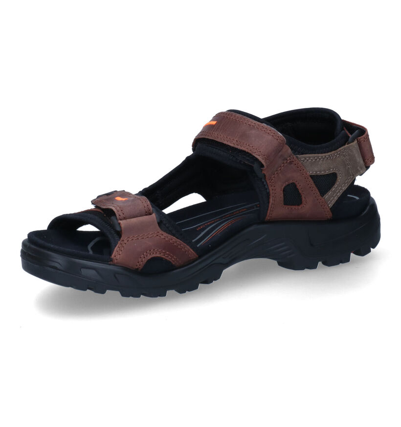 ECCO Yucatan Taupe Sandalen voor heren (306675)