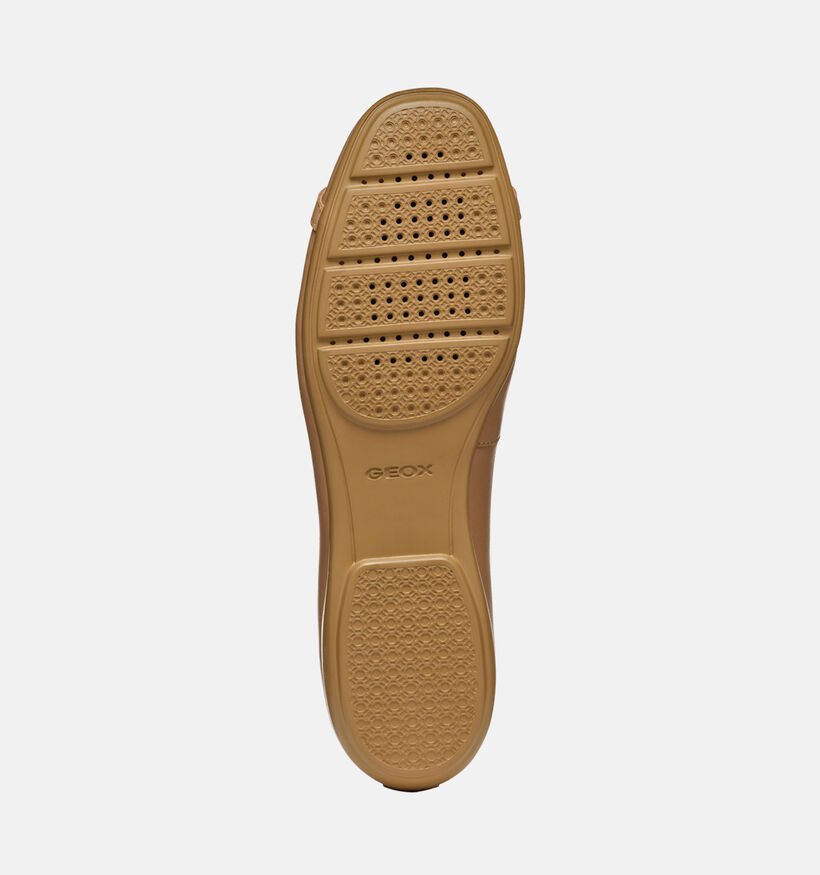 Geox Annytah Bruine Ballerina's voor dames (353760)