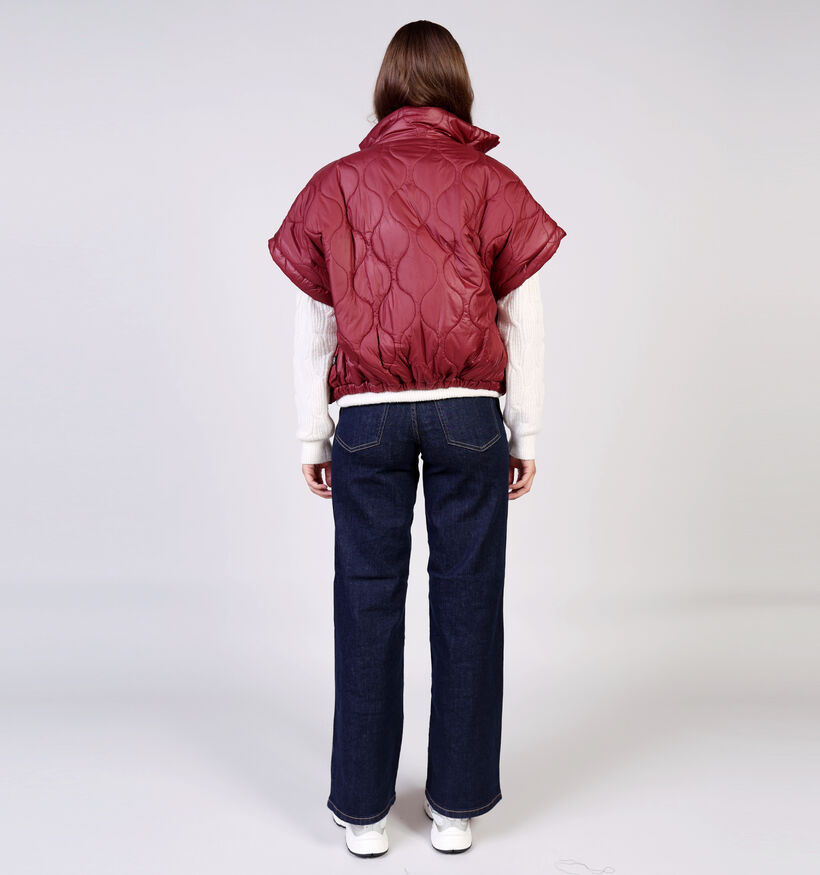 Laurent David Bodywarmer en Bordeaux/Rose pour femmes (366523)