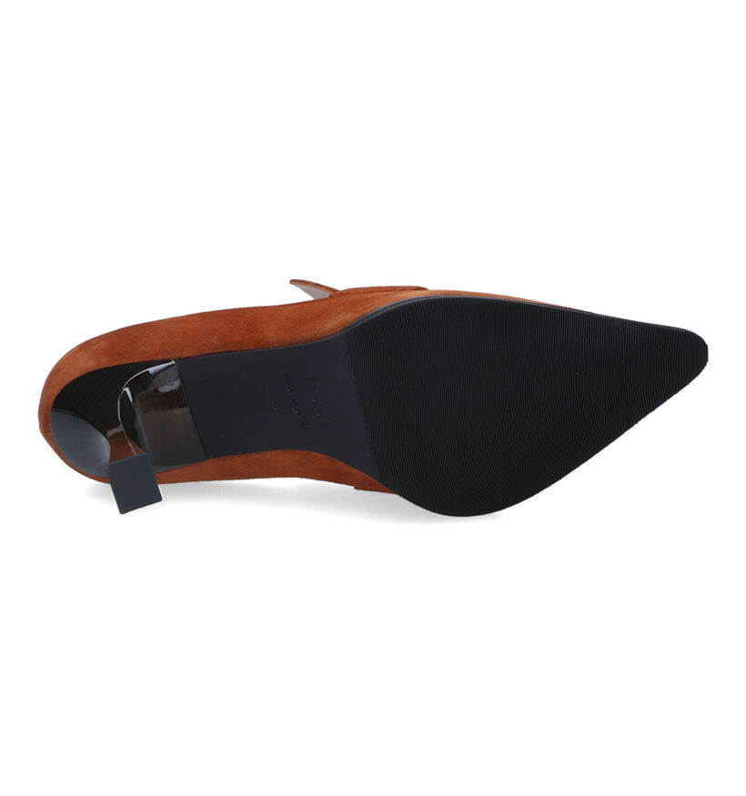 Lodi Meidin Cognac Pumps voor dames (317253)