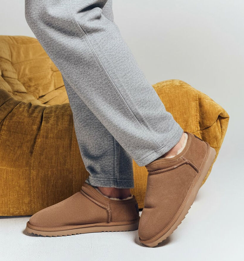 Warmbat Conner Pantoufles montantes en Cognac pour hommes (346348)