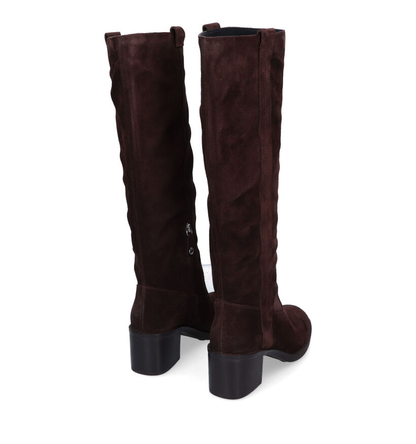 Geox Giulila Bruine Laarzen voor dames (316152)