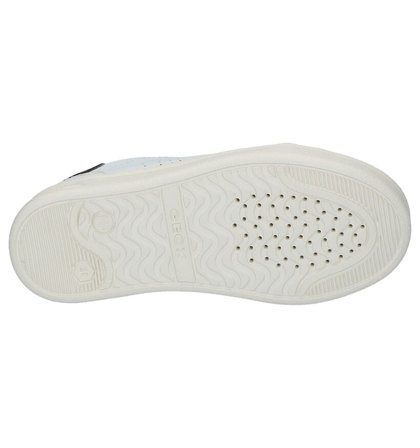 Geox Baskets basses en Blanc en cuir (210486)