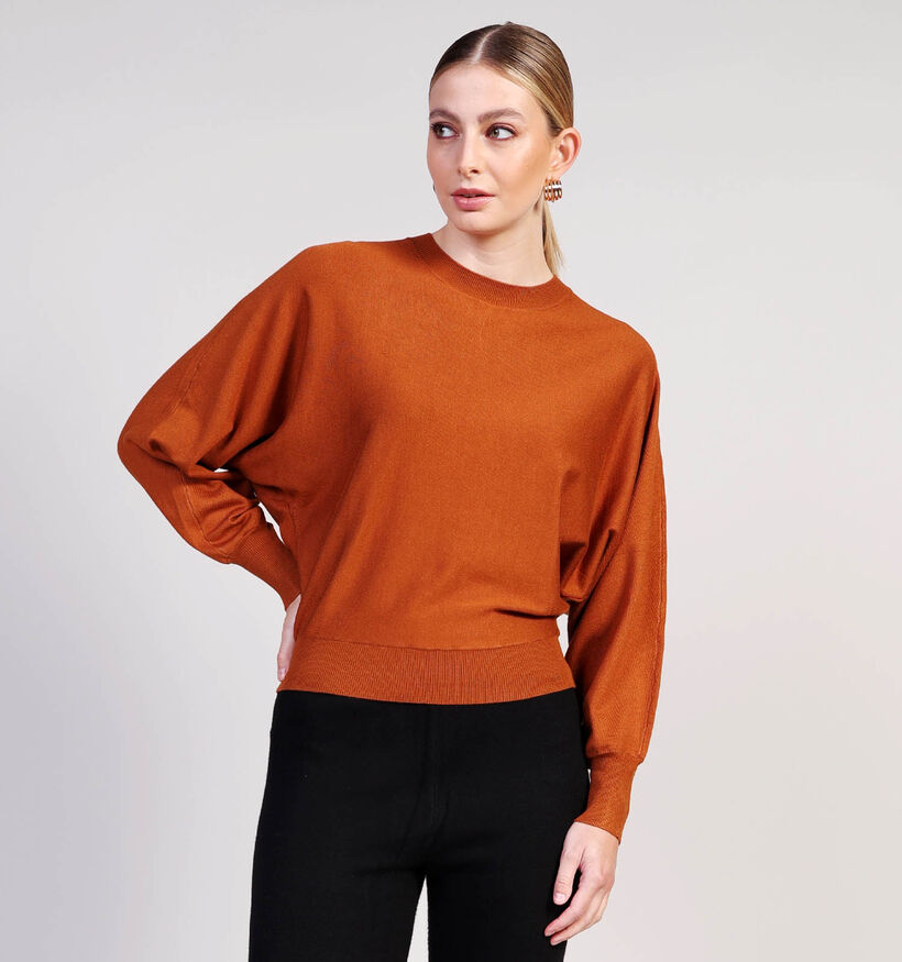 Minus Dana Bruine Trui voor dames (361727)