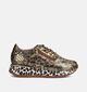 Laura Vita Delphine Leopard Chaussures à lacets en Or pour femmes (364974) - pour semelles orthopédiques