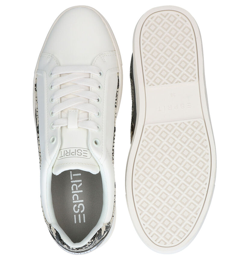 Esprit Colette Baskets en Blanc en simili cuir (295703)