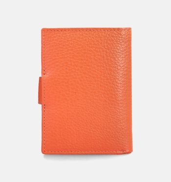 Crinkles Petite maroquinerie Orange/Cognac/Marron/Bleu