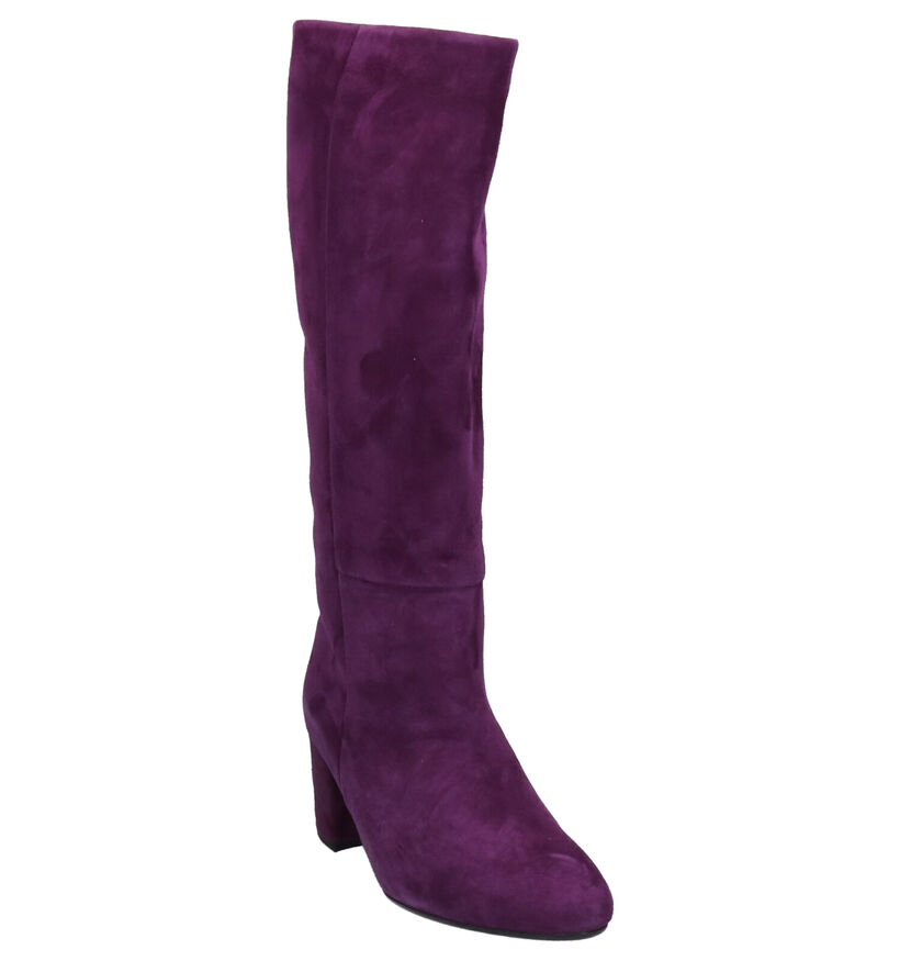 Gabor Bottes en Violet foncé en daim (260155)