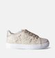 Asso Baskets basses en Beige pour filles (354155)