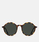 Komono Madison Tortoise Bruine Zonnebril voor dames (355172)