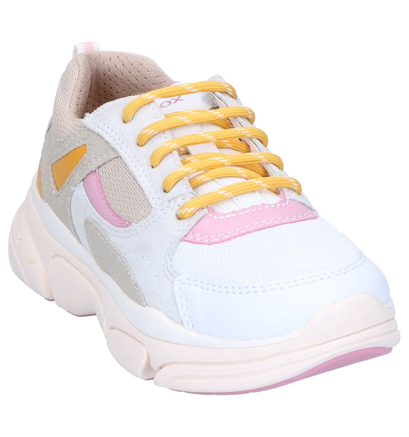 Geox Beige Sneakers in daim (265775)