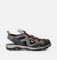 Regatta Westshore III Sandales de marche en Gris pour hommes (352352)
