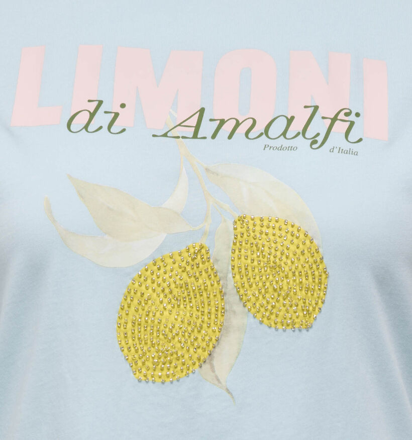 ONLY Carkita Pearl Blauwe T-shirt voor dames (375073)