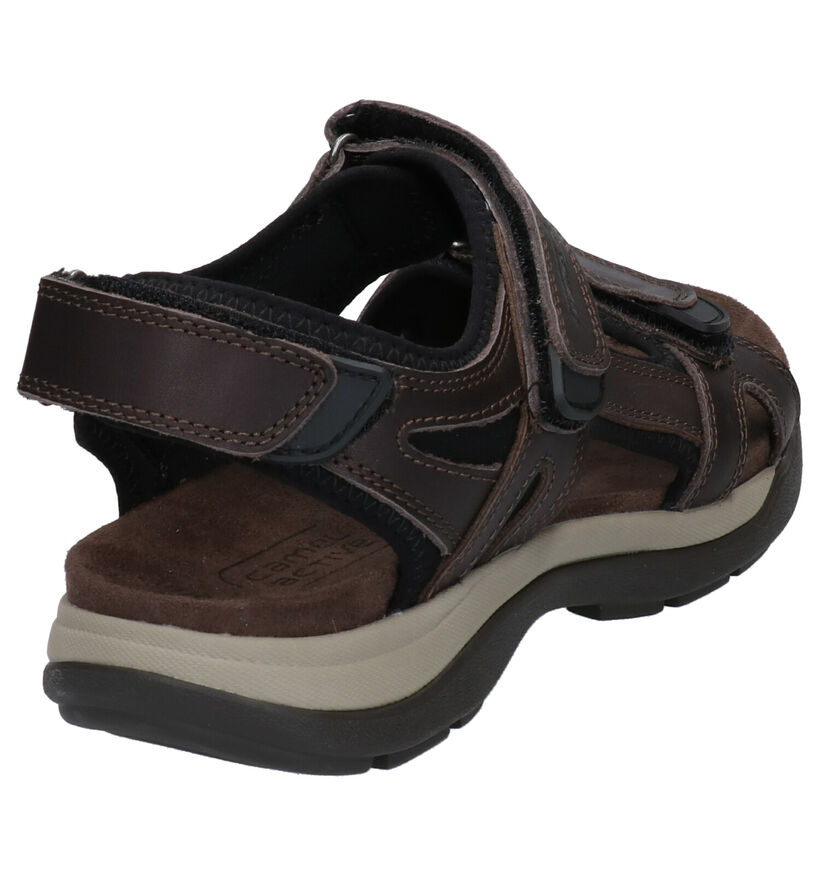 Camel Active Bruine Sandalen in leer (271304)