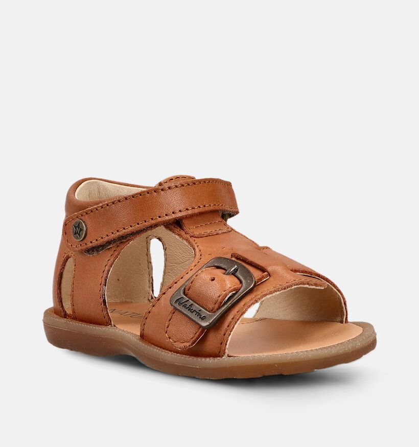 Naturino Quarzo Sandales pour b&eacute;b&eacute; en Camel pour filles, gar&ccedil;ons (371616)