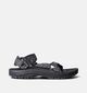 Teva Winsted Sandales en Noir pour hommes (356184)