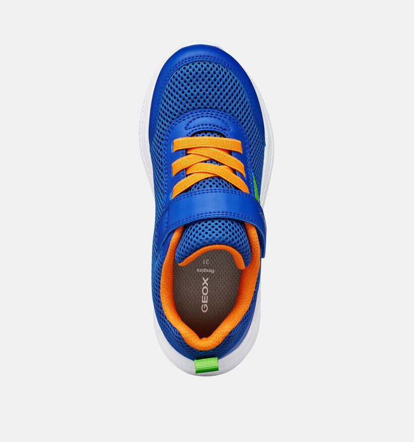 Geox Sprintye Baskets en Bleu pour gar&ccedil;ons (370141) - pour semelles orthop&eacute;diques