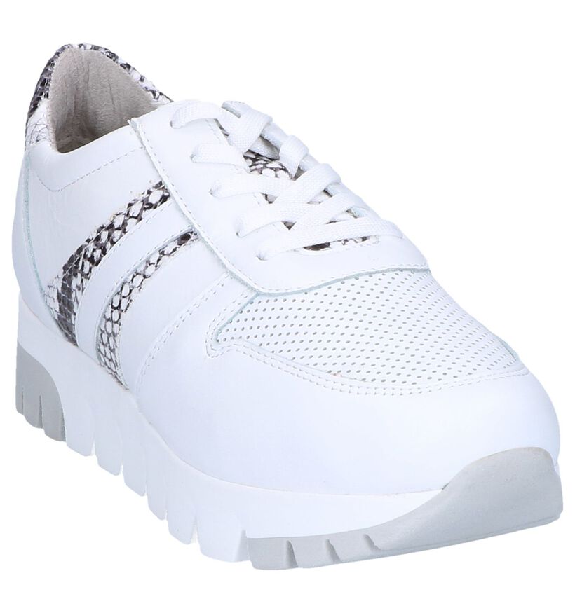 Witte Veterschoenen Tamaris in leer (256073)