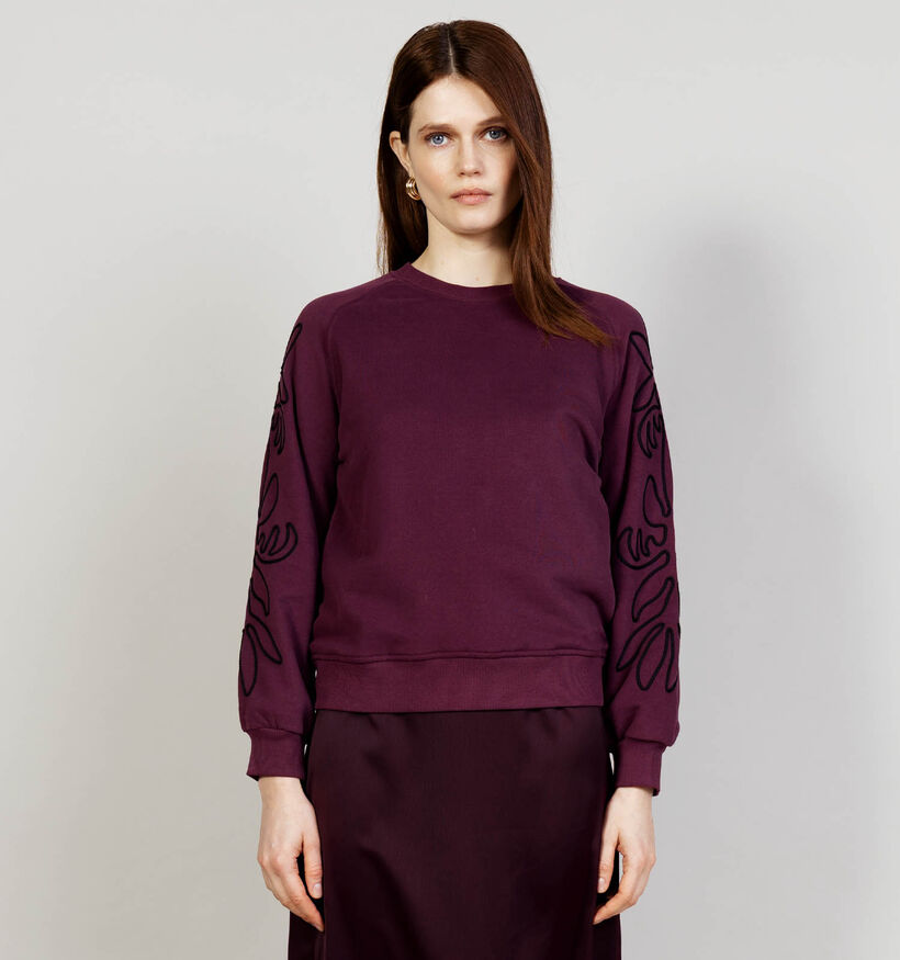 Mexx Paarse Trui voor dames (375528)