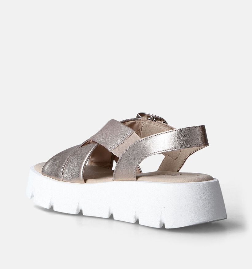Gabor Roze Sandalen met Plateauzool voor dames (355088)